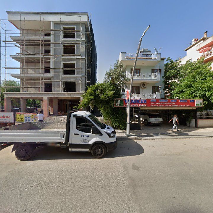 Fotoğraf 3