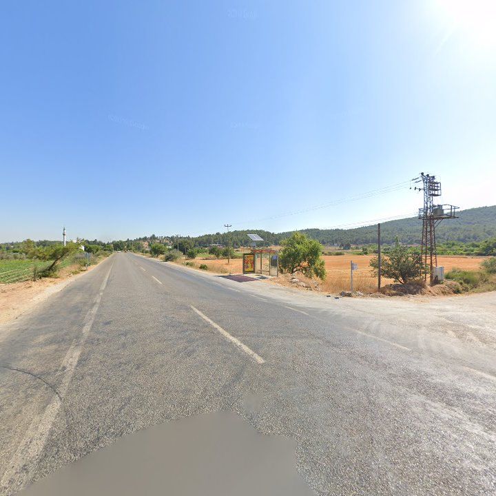 Fotoğraf 6