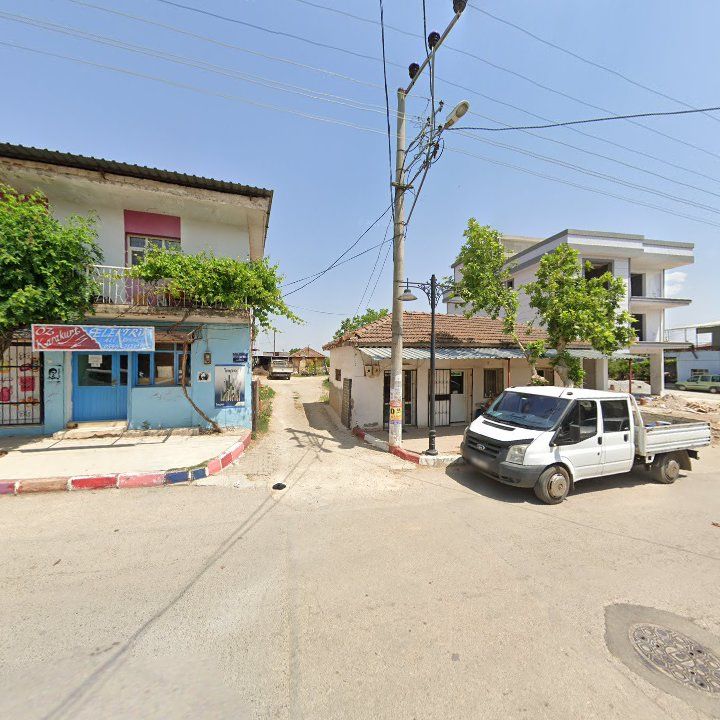 Fotoğraf 9