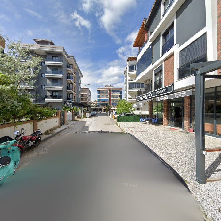 Fotoğraf 10