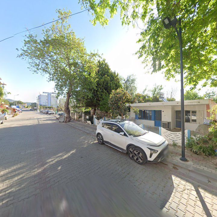 Fotoğraf 11