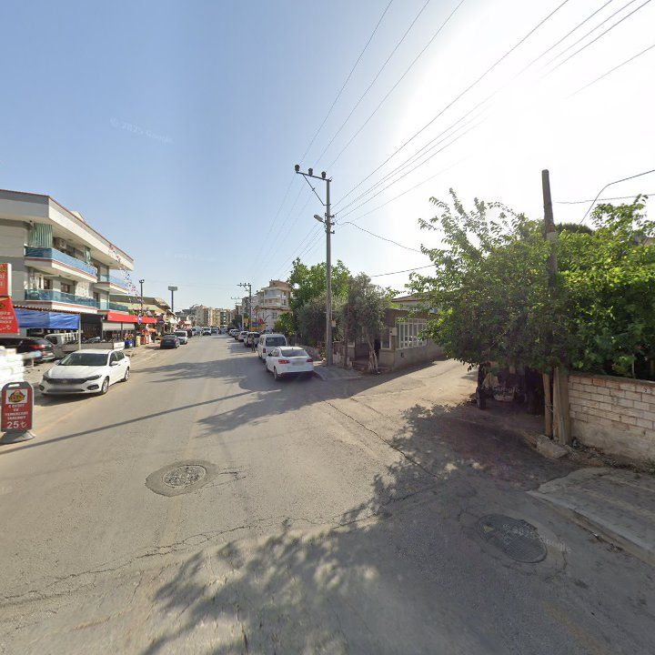 Fotoğraf 6