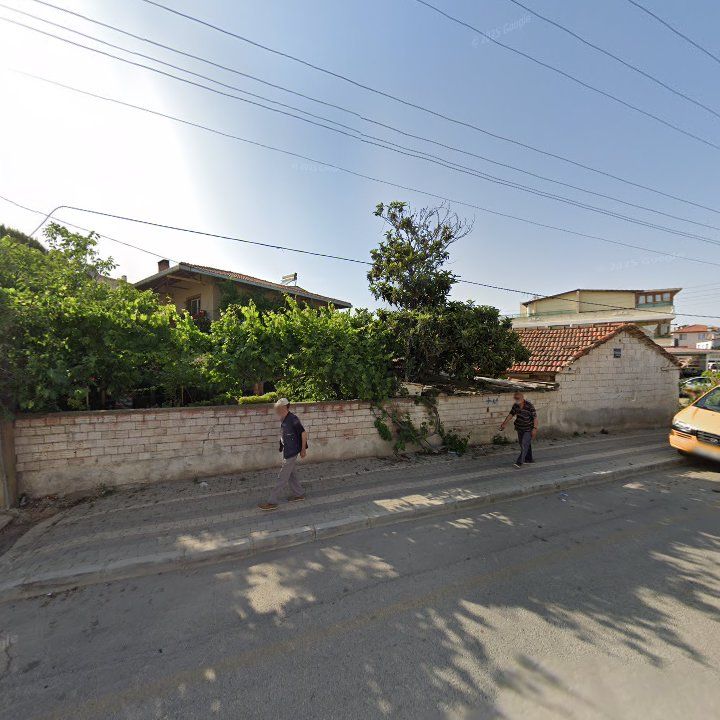 Fotoğraf 7