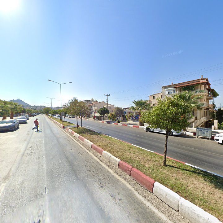 Fotoğraf 8