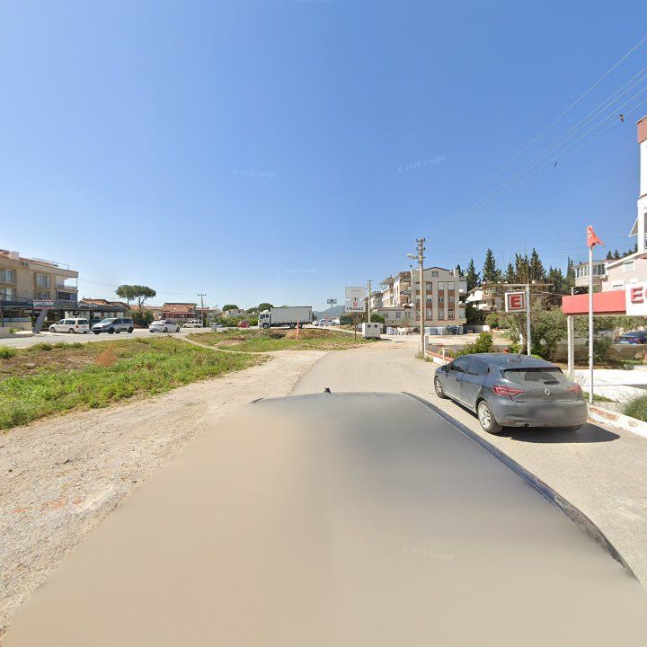 Fotoğraf 6