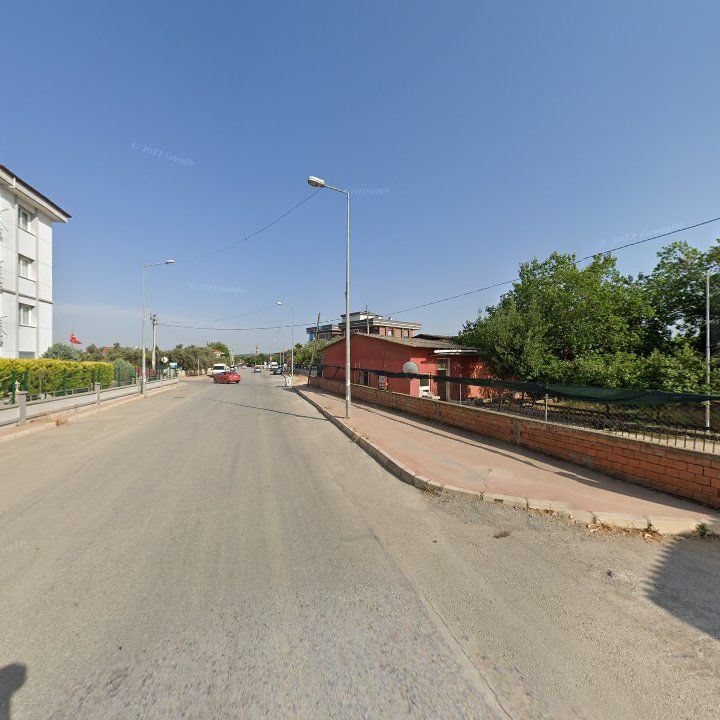Fotoğraf 5