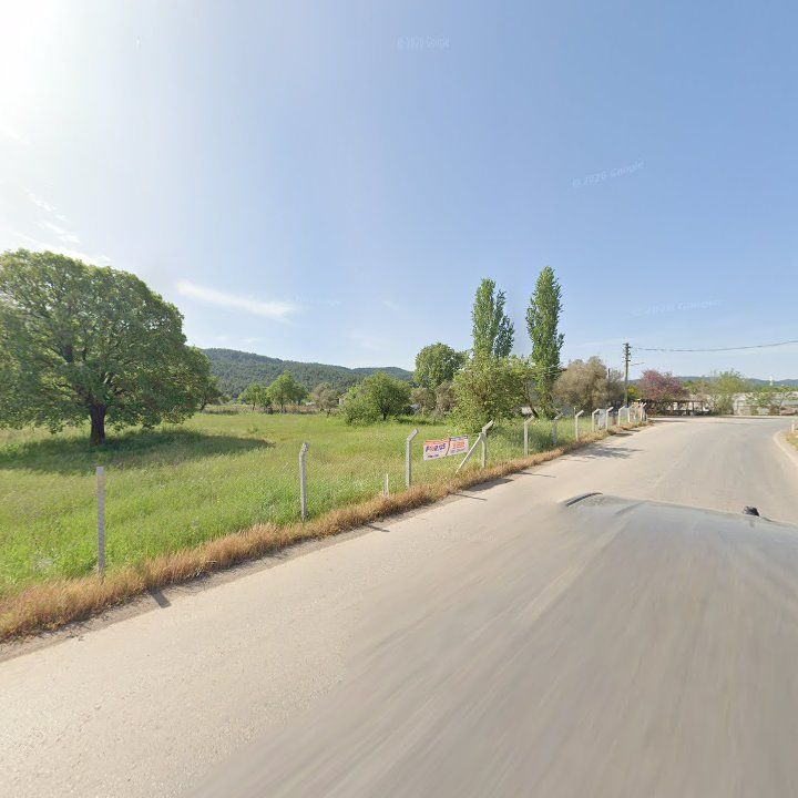 Fotoğraf 11
