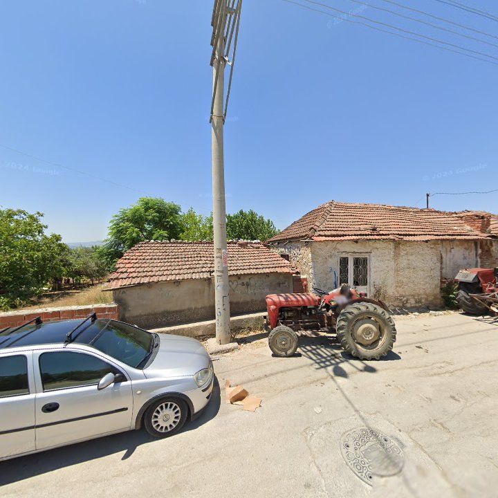 Fotoğraf 4