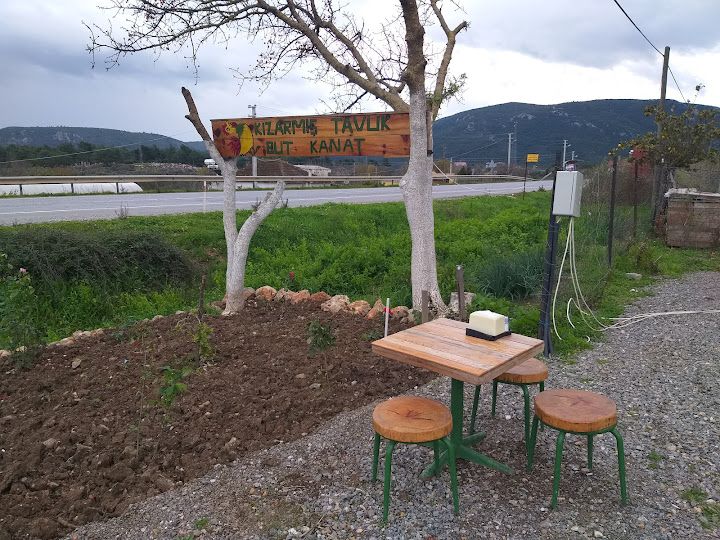 Kikiriki kızarmış tavuk kanat