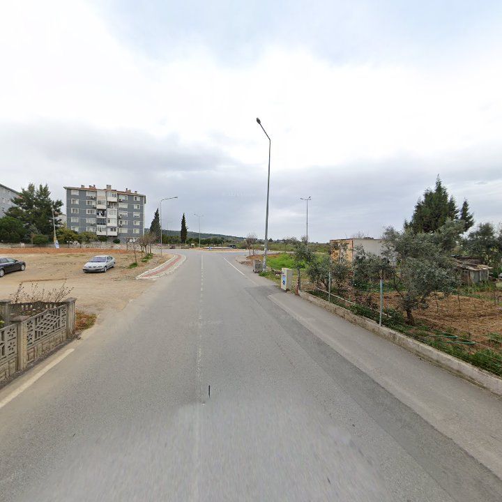 Fotoğraf 10