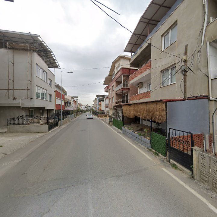Fotoğraf 8