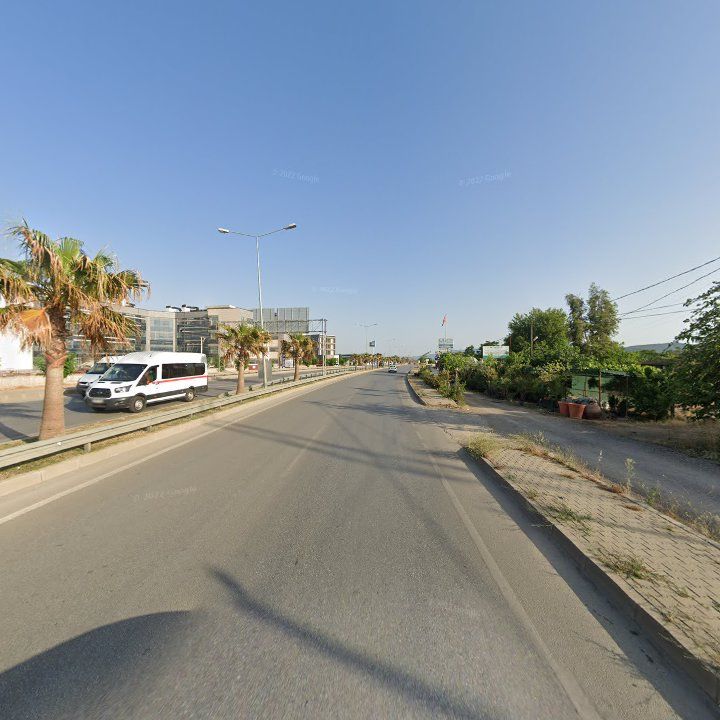 Fotoğraf 10