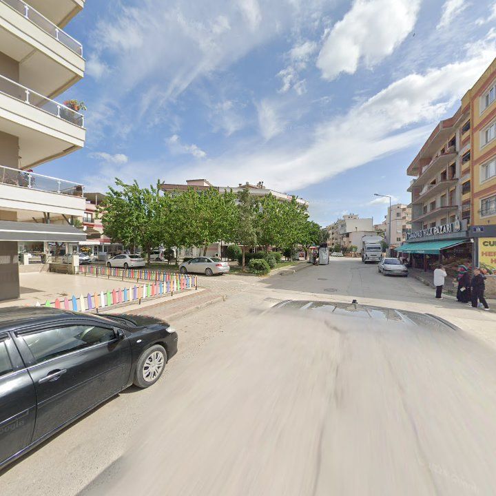 Fotoğraf 7