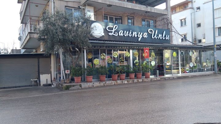 Lavinya Unlu Mamüller