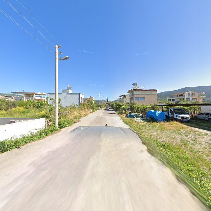 Fotoğraf 7