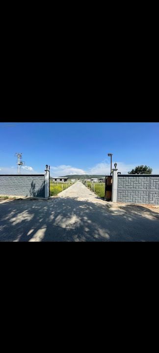 Menderes garden