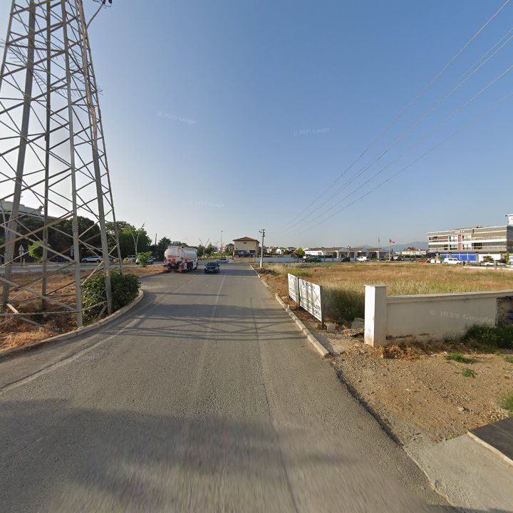 Fotoğraf 10