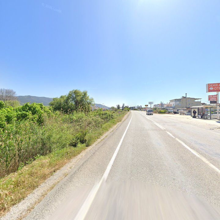 Fotoğraf 11