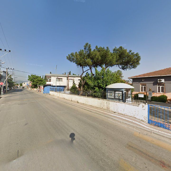 Fotoğraf 9