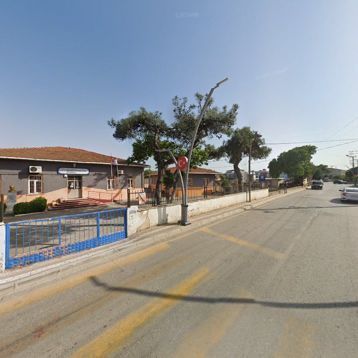 Fotoğraf 10