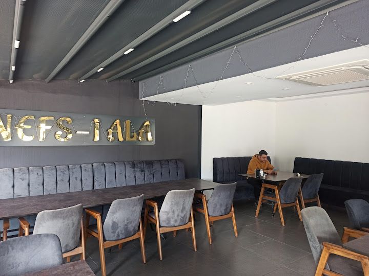 Nefsi ala