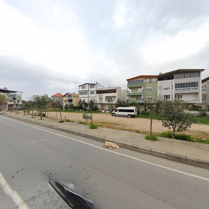 Fotoğraf 3