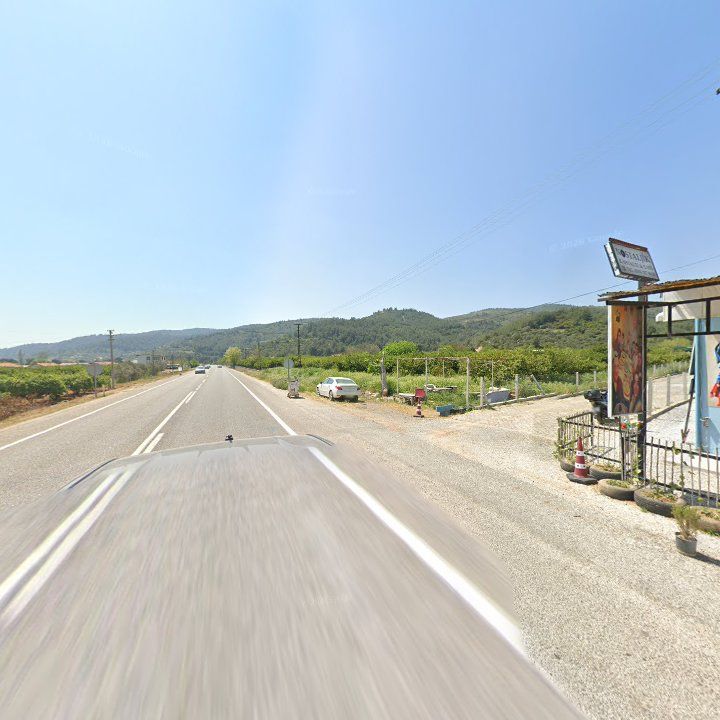 Fotoğraf 11