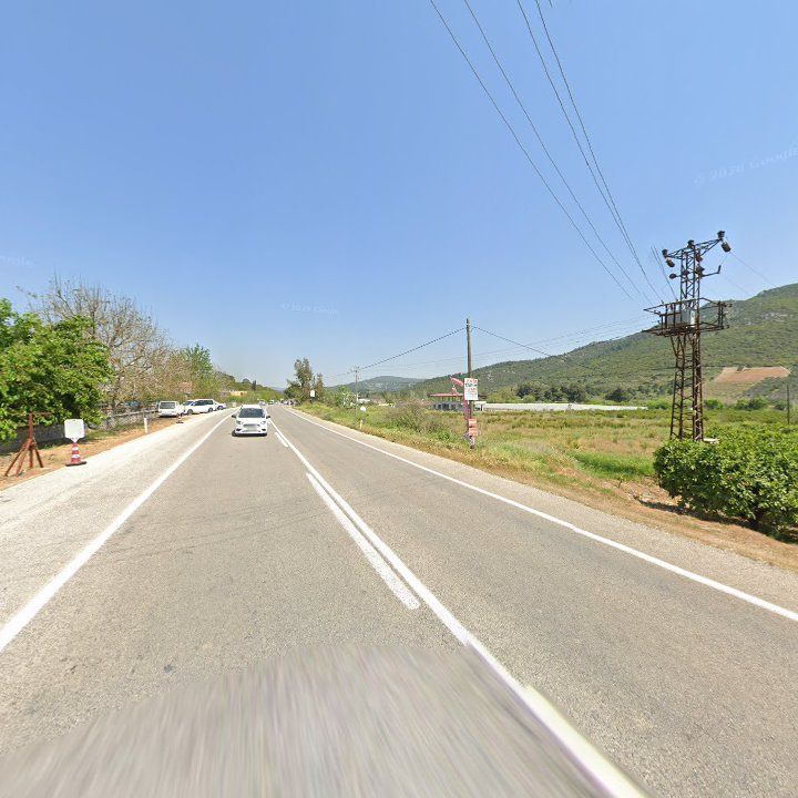 Fotoğraf 9