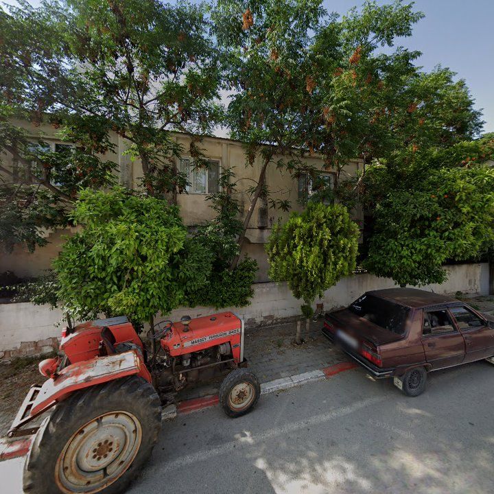 Fotoğraf 8