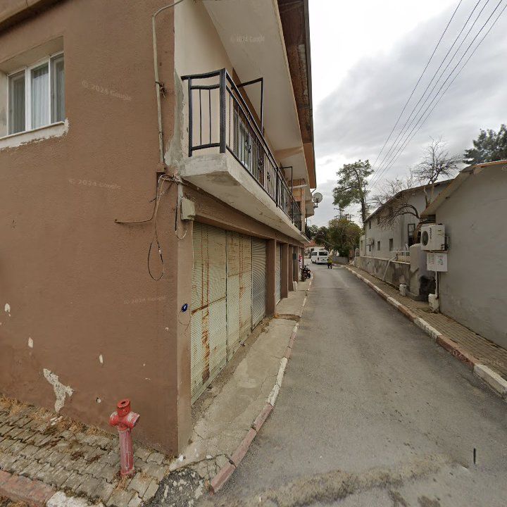 Fotoğraf 8