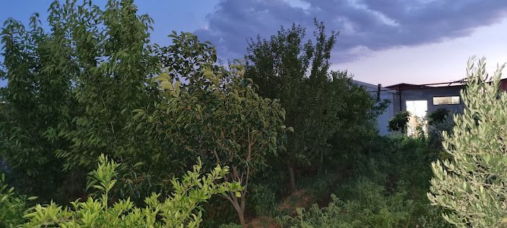 Oglananası Bahçe