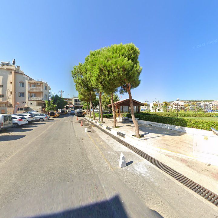 Fotoğraf 10