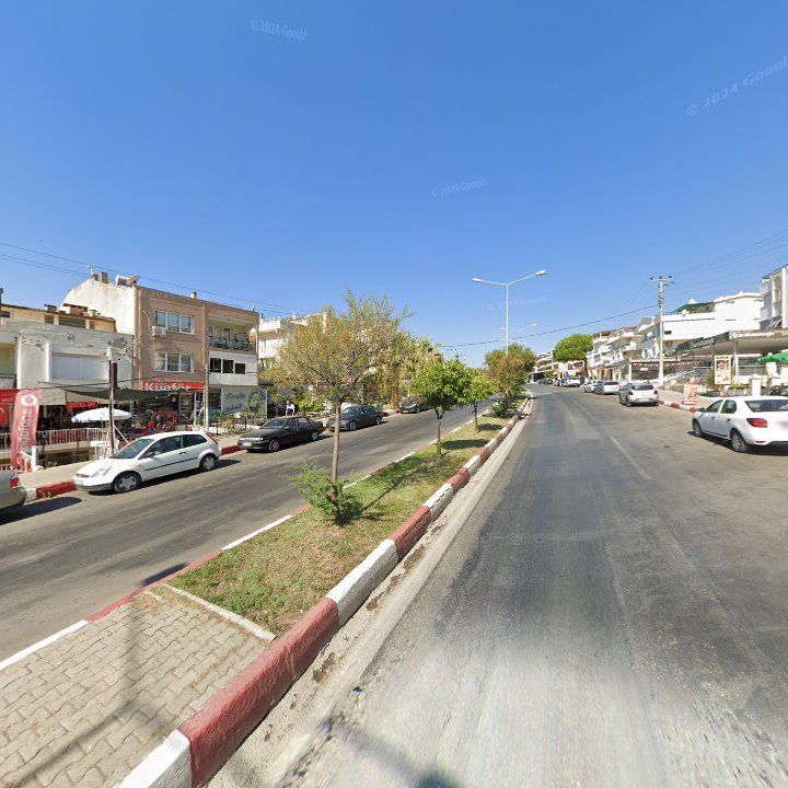 Fotoğraf 10