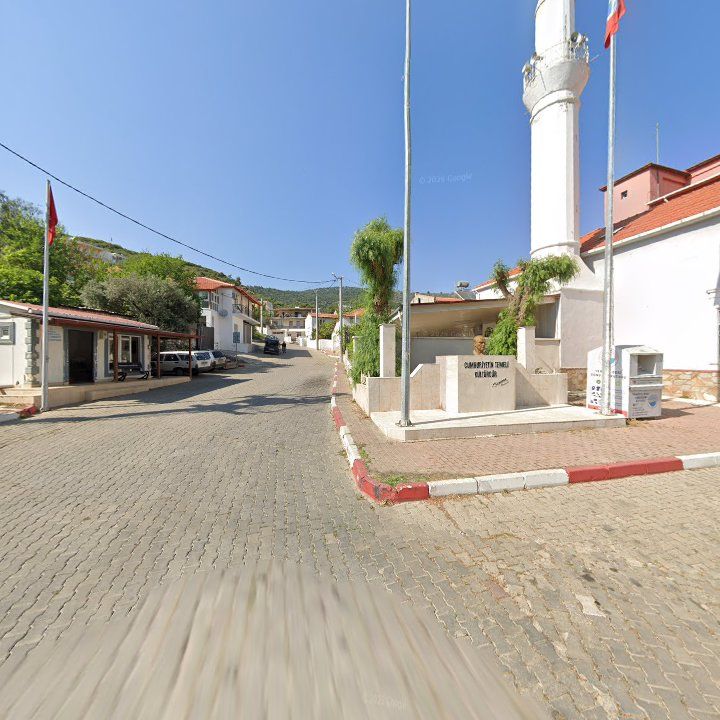 Fotoğraf 3