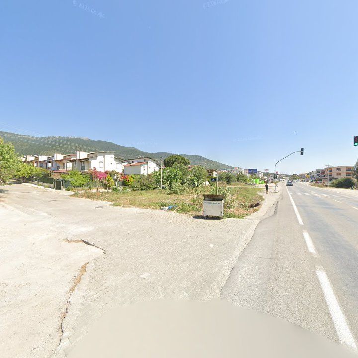 Fotoğraf 13