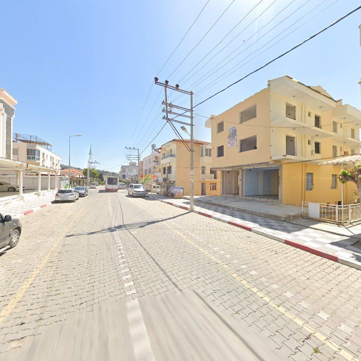 Fotoğraf 8