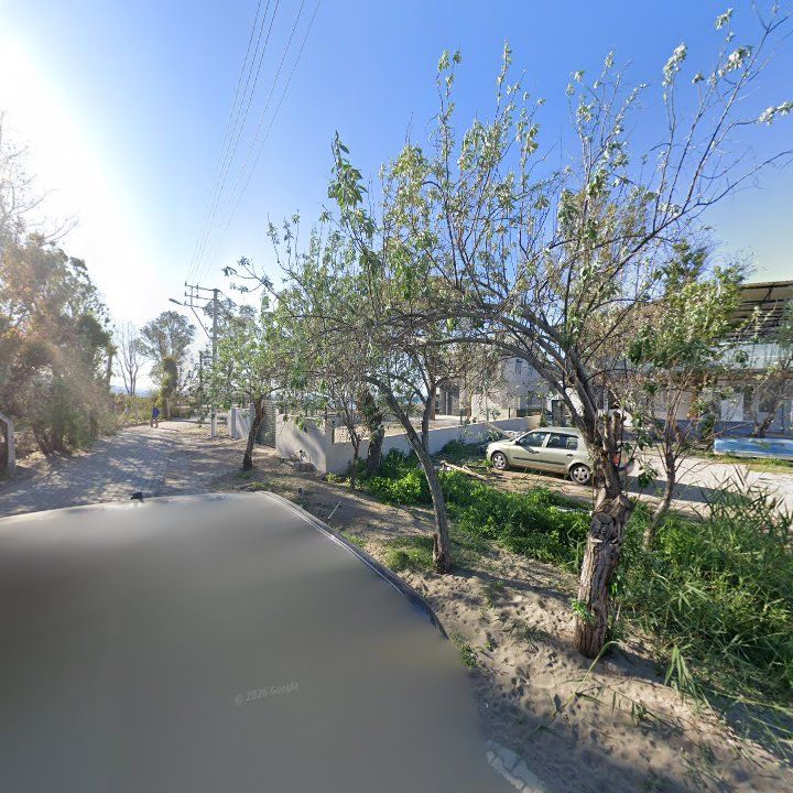 Fotoğraf 7