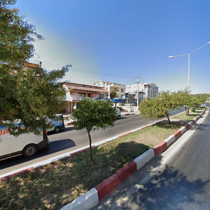 Fotoğraf 7