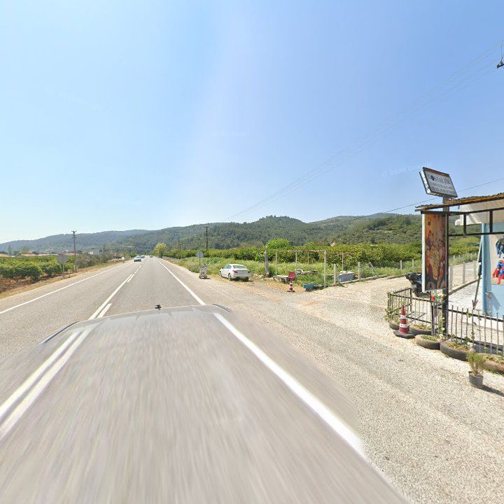 Fotoğraf 9