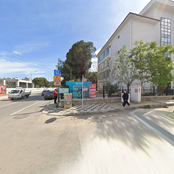 Fotoğraf 8