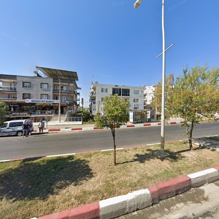 Fotoğraf 10