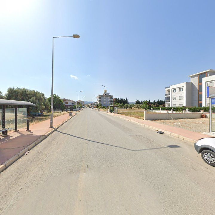 Fotoğraf 8