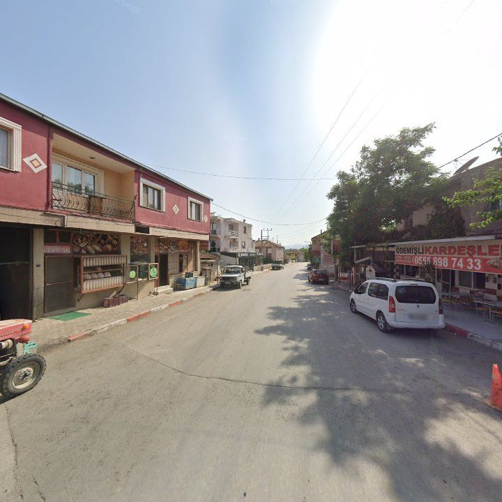 Fotoğraf 9