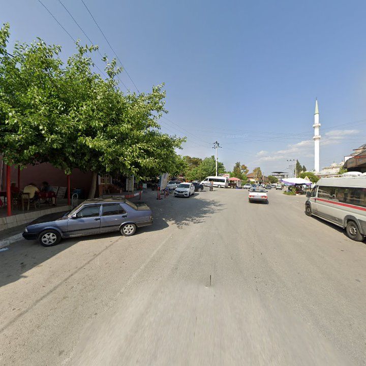 Fotoğraf 7