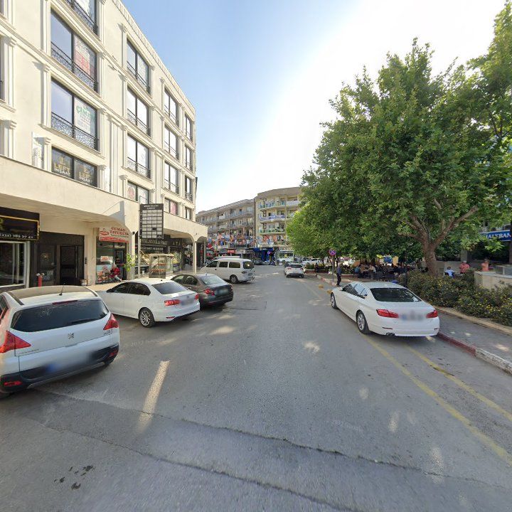 Fotoğraf 8
