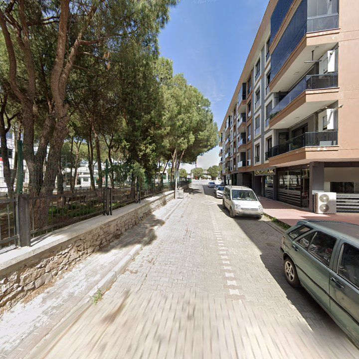 Fotoğraf 10