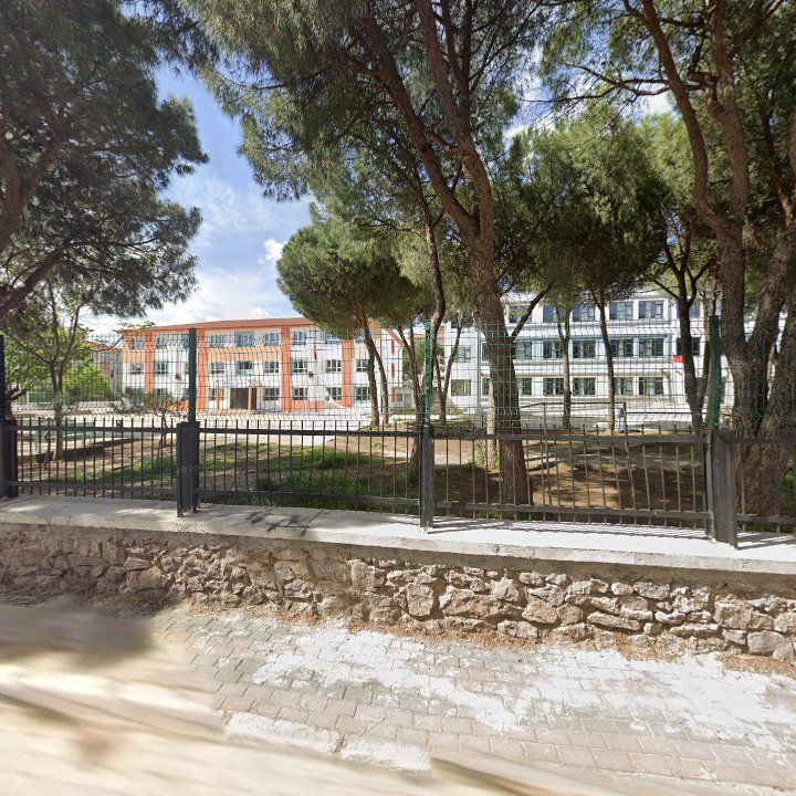 Fotoğraf 9
