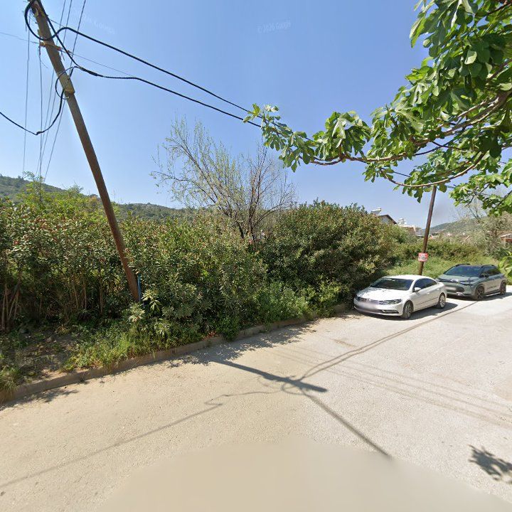 Fotoğraf 12