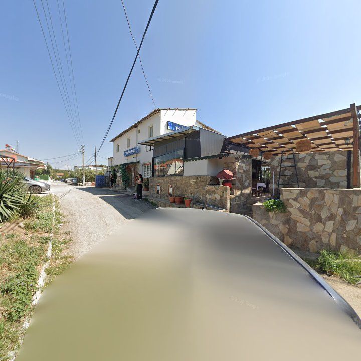Fotoğraf 10