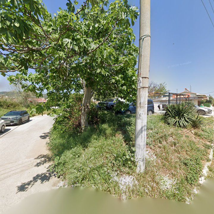 Fotoğraf 13